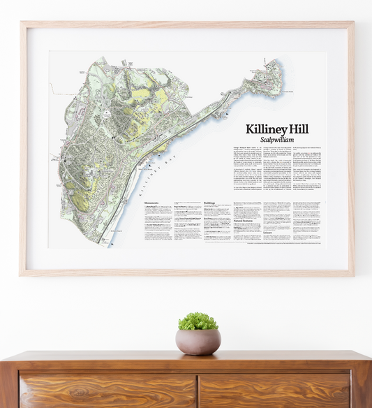 A framed vintage-style map print of Killiney Hill, displayed on a white wall above a wooden sideboard with a small potted plant.