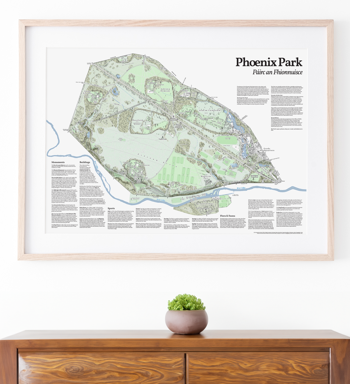 A framed Phoenix Park park map print hangs on a white wall above a wooden console table with a small potted succulent. The print features a detailed vintage-style cartographic layout of the park with green shaded areas, blue waterways, and black text.